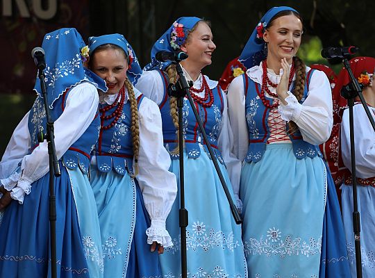 Lębork pokazał, że potrafi świętować – z 65822