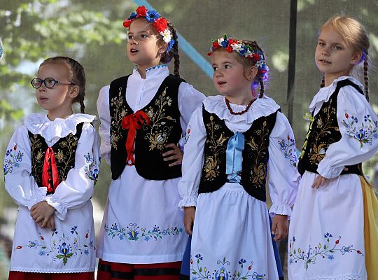 Lębork pokazał, że potrafi świętować – z 65836