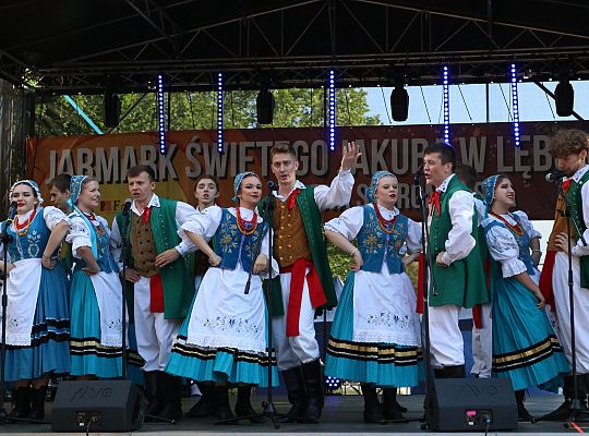 Lębork pokazał, że potrafi świętować – z 65829