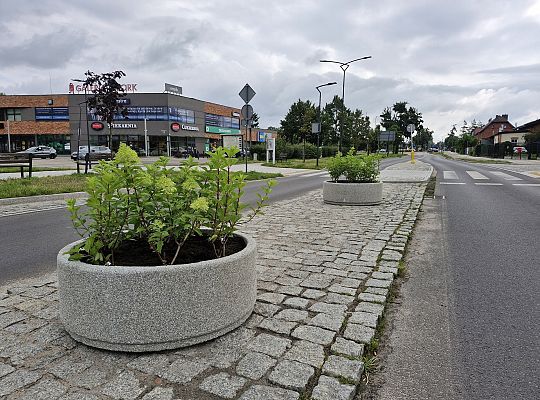 Bezpieczniej na ulicach. Miasto wprowadza proste i 66187