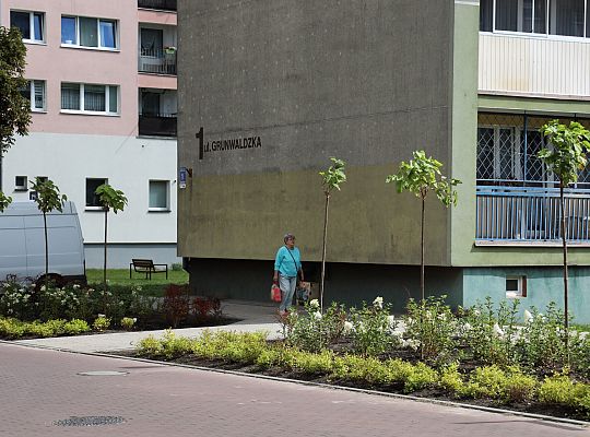 Zieleń wraca do centrum Lęborka 66584