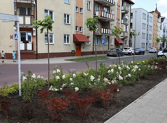 Zieleń wraca do centrum Lęborka 66588