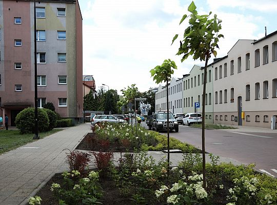 Zieleń wraca do centrum Lęborka 66587