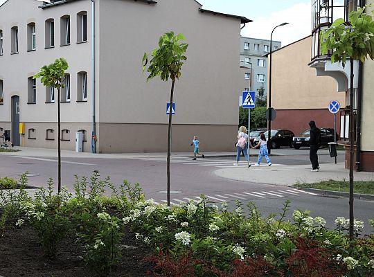 Zieleń wraca do centrum Lęborka 66590