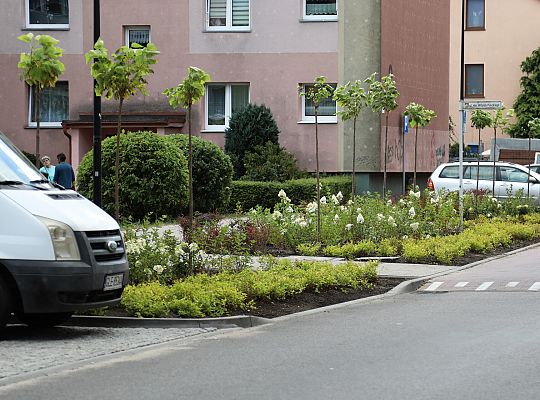 Zieleń wraca do centrum Lęborka 66589