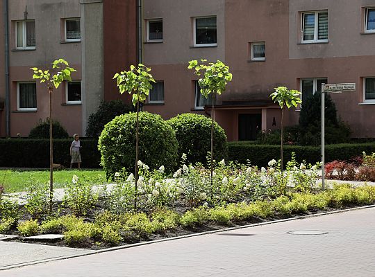 Zieleń wraca do centrum Lęborka 66583