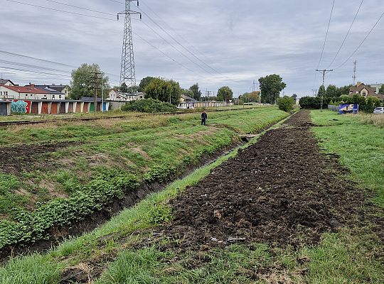 Skuteczna ochrona przed nadmiarem wody - trwa 67217