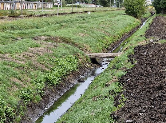 Skuteczna ochrona przed nadmiarem wody - trwa 67219