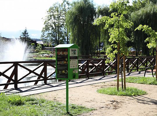 Ptasi bufet w Parku im. Marii i Lecha Kaczyńskich 67317