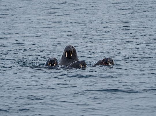Historyczne osiągnięcie lęborczanina – na 68043