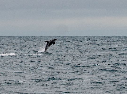 Historyczne osiągnięcie lęborczanina – na 68047
