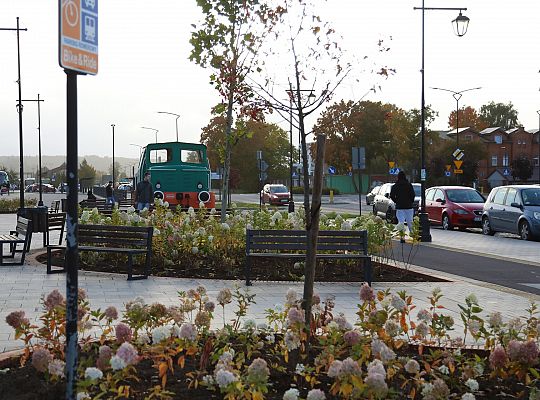 Krzewy i drzewa zmieniają krajobraz Lęborka 68282