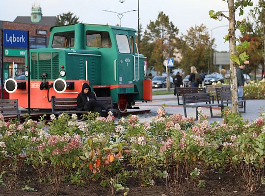 Krzewy i drzewa zmieniają krajobraz Lęborka 68283