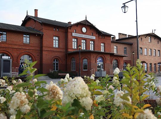 Krzewy i drzewa zmieniają krajobraz Lęborka 68284