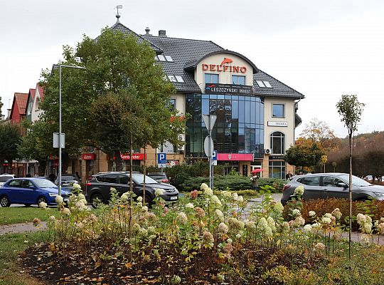 Krzewy i drzewa zmieniają krajobraz Lęborka 68292