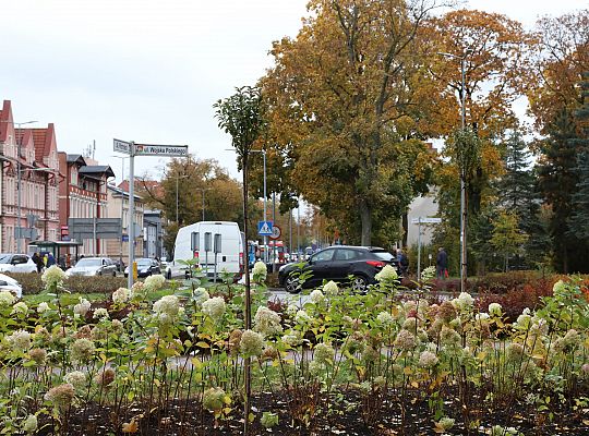 Krzewy i drzewa zmieniają krajobraz Lęborka 68294