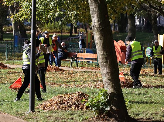 Dbają o porządek na skwerach i w parkach 68521