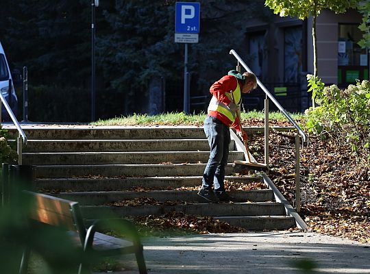 Dbają o porządek na skwerach i w parkach 68524