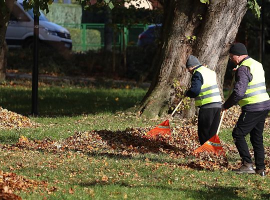 Dbają o porządek na skwerach i w parkach 68525