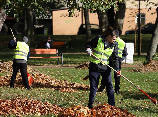 Dbają o porządek na skwerach i w parkach 68526