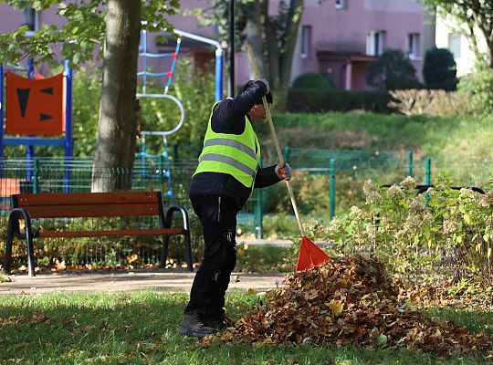 Dbają o porządek na skwerach i w parkach 68528
