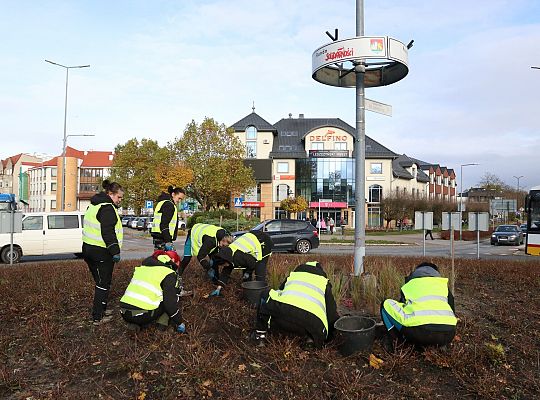 Rondo Solidarności rozkwitnie w biało - czerwonych 68682