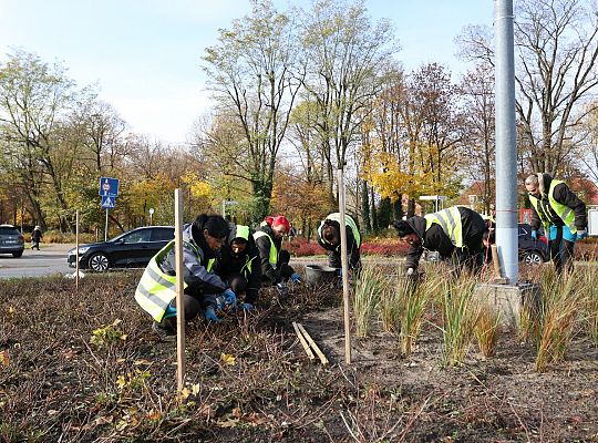 Rondo Solidarności rozkwitnie w biało - czerwonych 68683