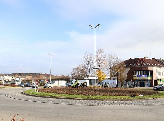 Rondo Solidarności rozkwitnie w biało - czerwonych 68687