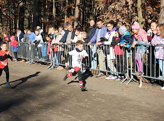 Świętowanie niepodległości na sportowo – 240 69073