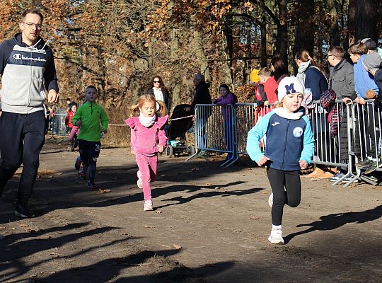 Świętowanie niepodległości na sportowo – 240 69075