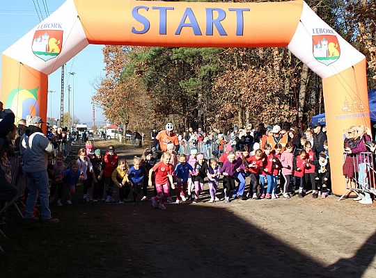 Świętowanie niepodległości na sportowo – 240 69079