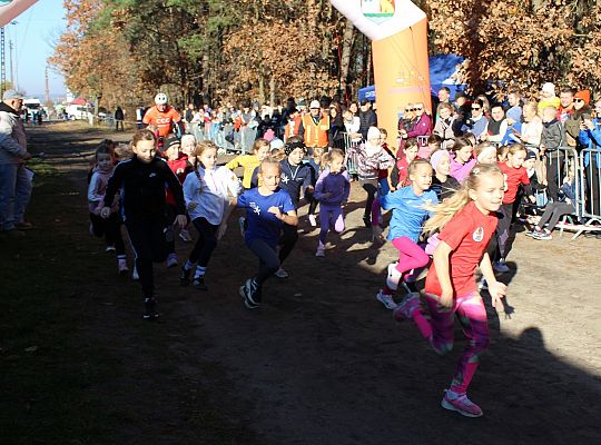 Świętowanie niepodległości na sportowo – 240 69078