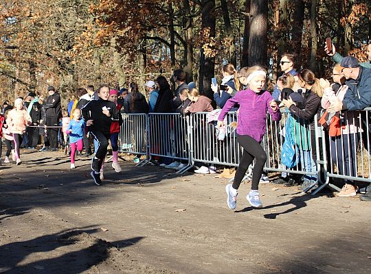 Świętowanie niepodległości na sportowo – 240 69080