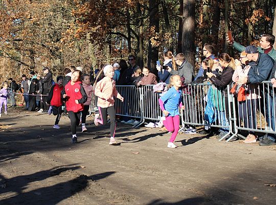 Świętowanie niepodległości na sportowo – 240 69081