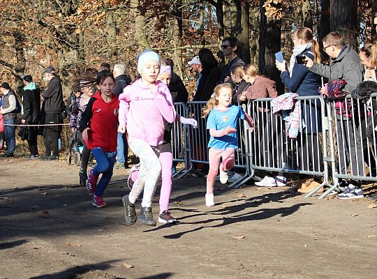 Świętowanie niepodległości na sportowo – 240 69082