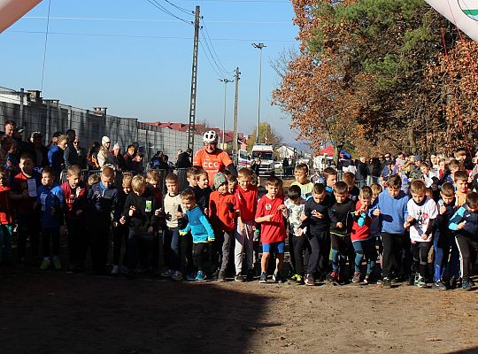 Świętowanie niepodległości na sportowo – 240 69083