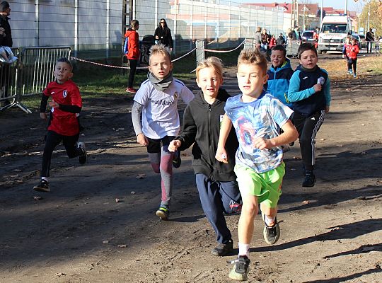 Świętowanie niepodległości na sportowo – 240 69086