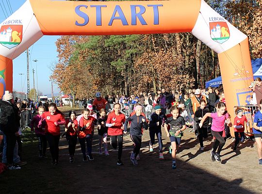 Świętowanie niepodległości na sportowo – 240 69088