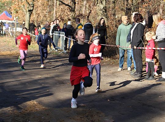 Świętowanie niepodległości na sportowo – 240 69089