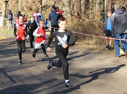 Świętowanie niepodległości na sportowo – 240 69093