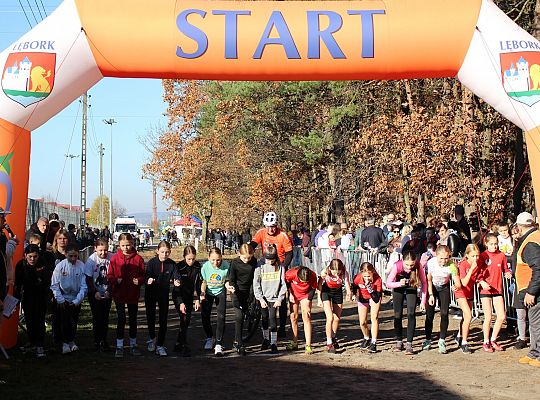 Świętowanie niepodległości na sportowo – 240 69094