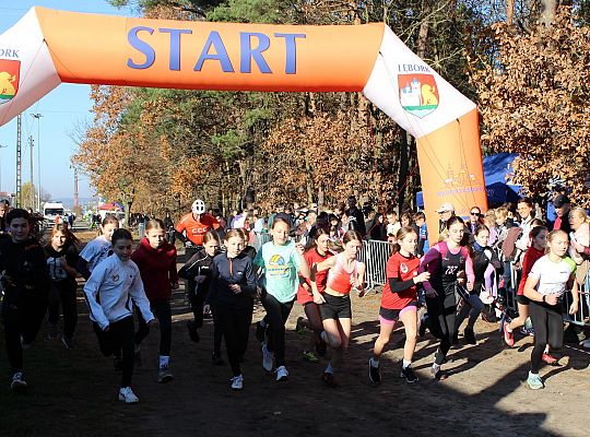 Świętowanie niepodległości na sportowo – 240 69095