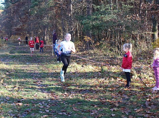 Świętowanie niepodległości na sportowo – 240 69097