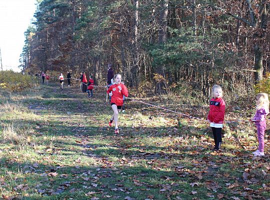 Świętowanie niepodległości na sportowo – 240 69098