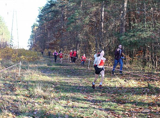 Świętowanie niepodległości na sportowo – 240 69099