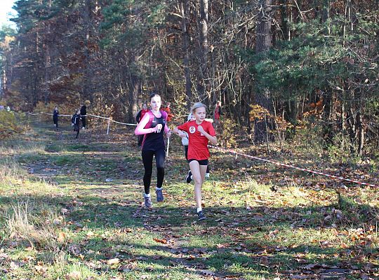 Świętowanie niepodległości na sportowo – 240 69100