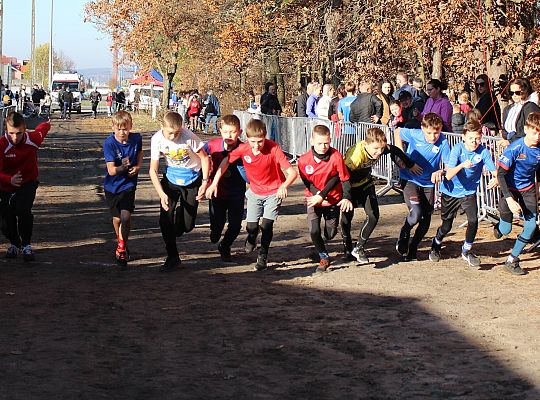 Świętowanie niepodległości na sportowo – 240 69103