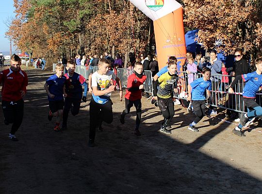 Świętowanie niepodległości na sportowo – 240 69102