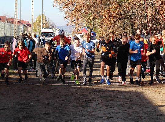 Świętowanie niepodległości na sportowo – 240 69112