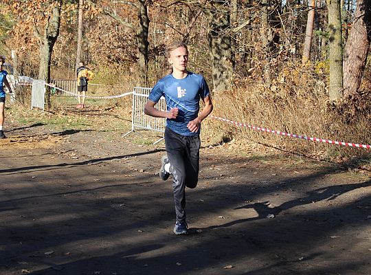 Świętowanie niepodległości na sportowo – 240 69113